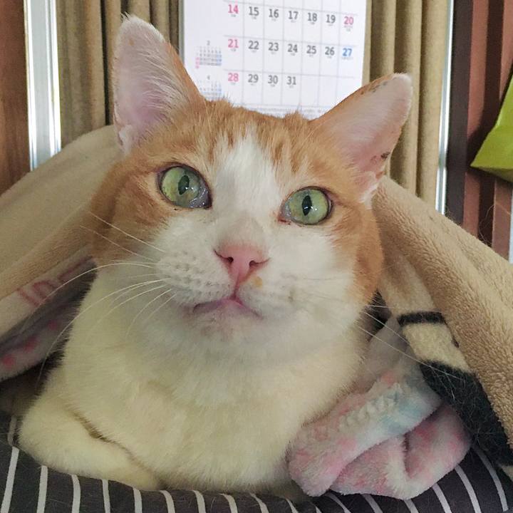 23eb1c42 356b 48b9 870b eef4c0d6f2c8 1617836410347