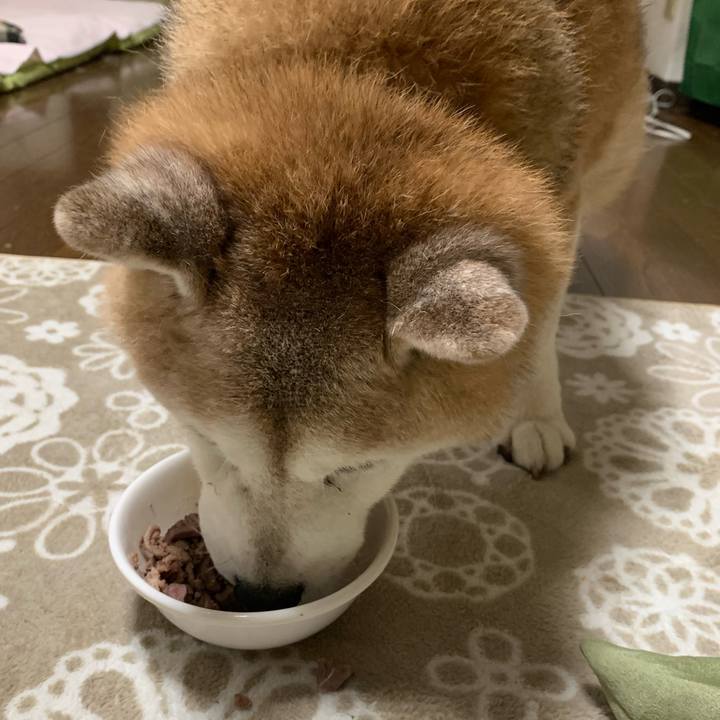 23eb2cff 466f 4884 b382 80016c42ad3e 1661522085213