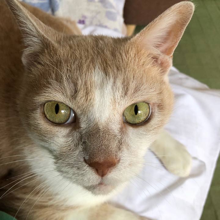 23eb57ce b89b 4106 ac9e 3764216c88e3 1624661796856