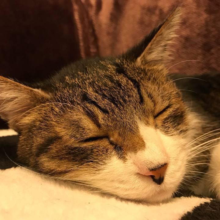 23eb6868 88a5 48a9 acbb 96d5c90783e8 1524843048297