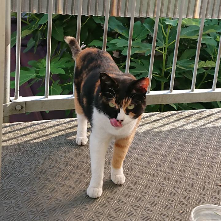 23eb87d4 1955 48ae a8bb 4f565616b6b7 1529898730261