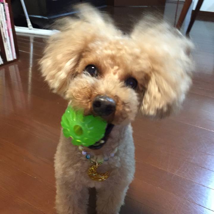 23ebb279 3530 4e99 9cfe c3552bd636cd 1507881664994