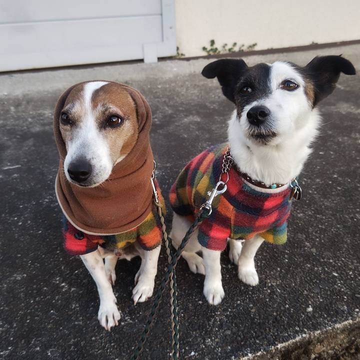 23ebb2d2 5047 40df b6c7 f08e66a64d58 1772662847408