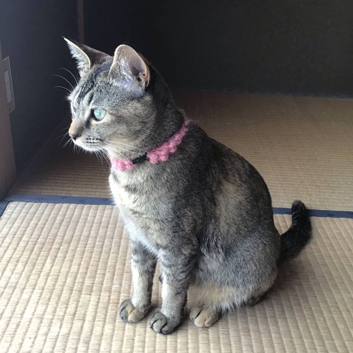 23ebeb17 7d1d 49e6 a469 923df8c5c354 1589273936277