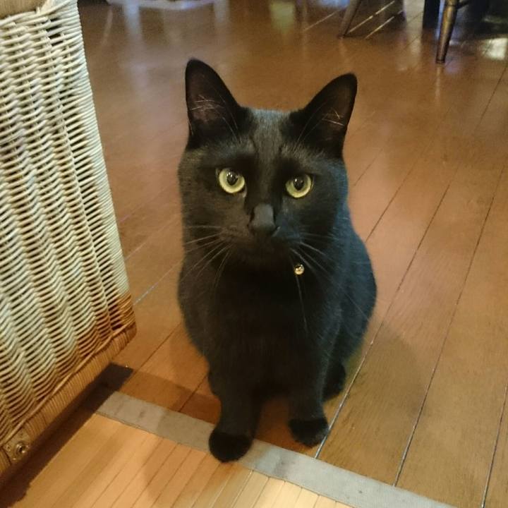 23ec0369 2387 47e0 a388 aa275808f2dd 1530970183655