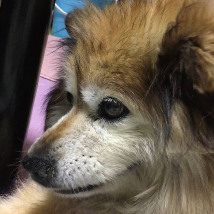 23ec1253 ae39 41be 81c0 bf8af2778f3a 1590051678578