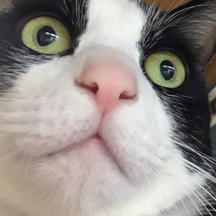 23ec1db4 bdf0 4b09 a425 811dff7fee15 1747298118360