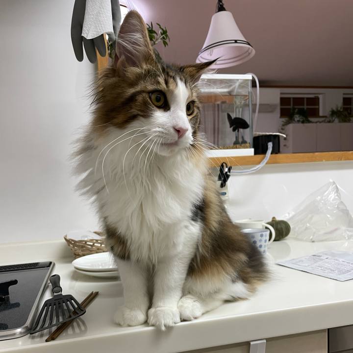 23ec3878 a17d 45d5 839a 90bf46eae4bf 1639685274746