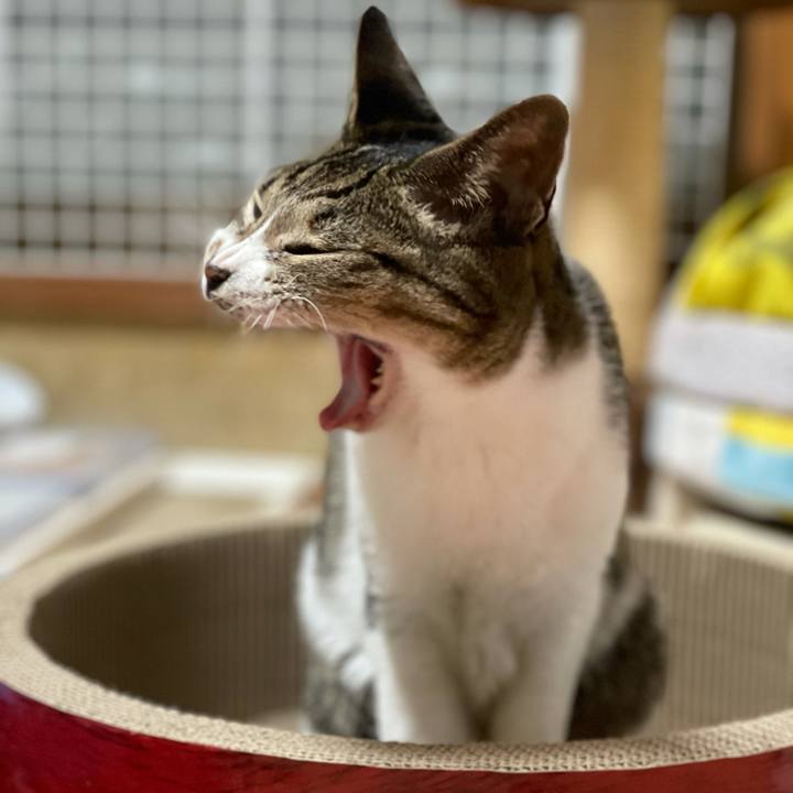 23ec7a43 3c13 438f b88c 88981bd8e888 1616290328327