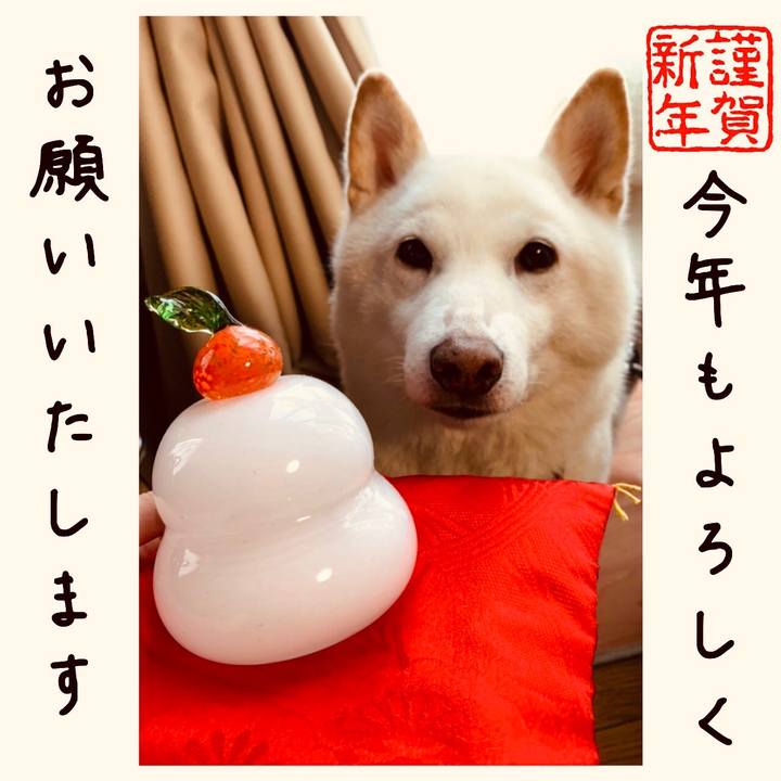 23ecaa95 3266 4f33 8fd7 cf4b53e2c949 1672531493548