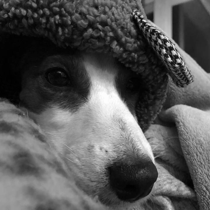 23ecb5af 035c 402d 9bb2 42f61f62d590 1549609403159