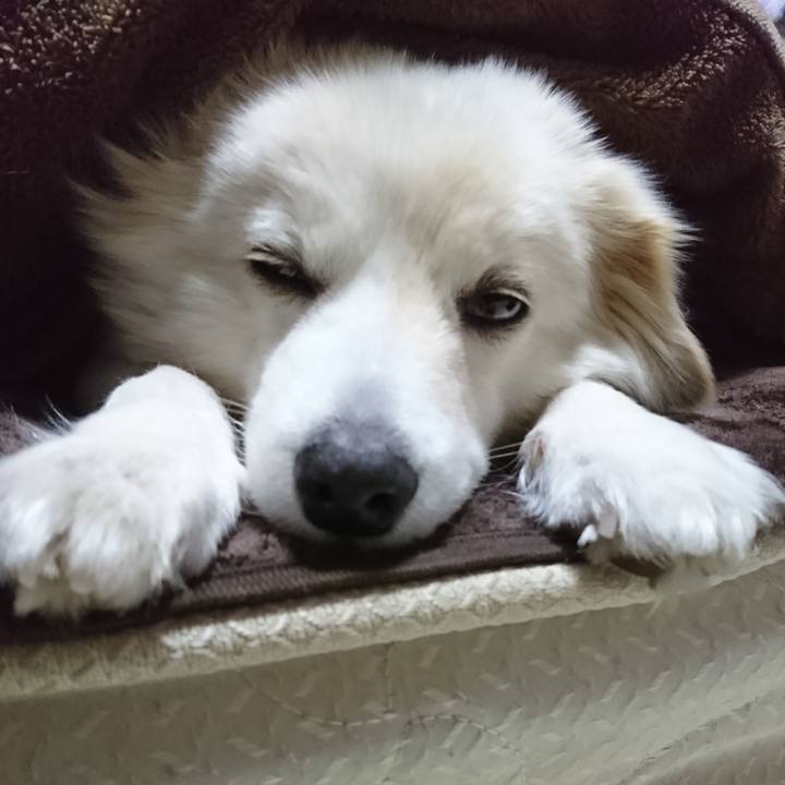 23ecc895 6ed0 43c9 a3e8 cf9be093ba4c 1520197818735