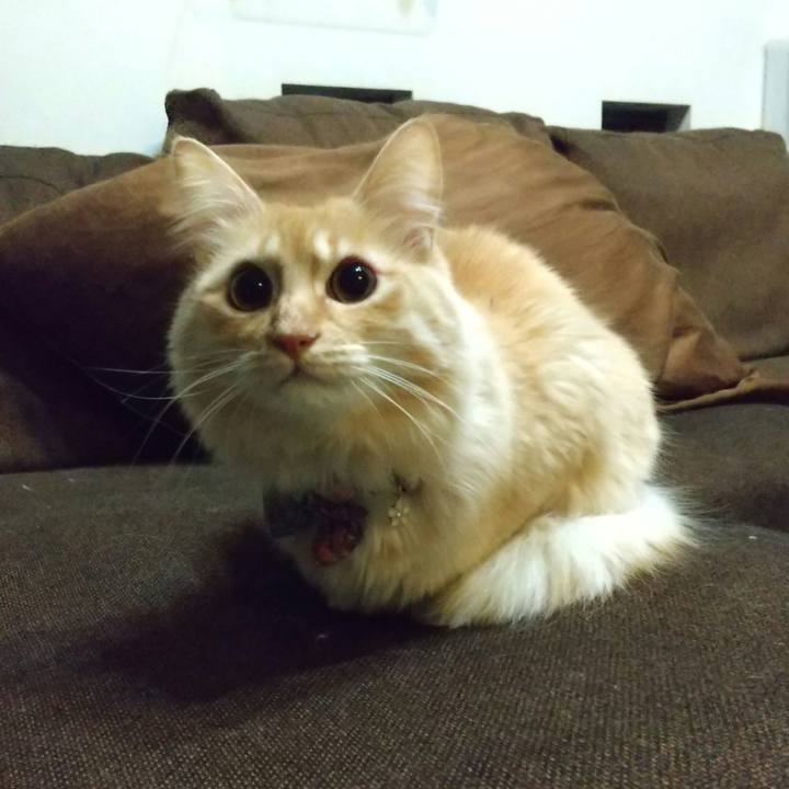 23ecce7a b086 4848 aace bb1cd85a02e3 1641504966463