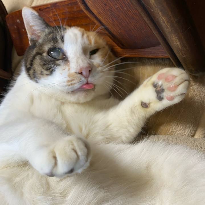 23ed3bf5 2d3a 49d4 ab34 95aa6f6635f3 1577522937872