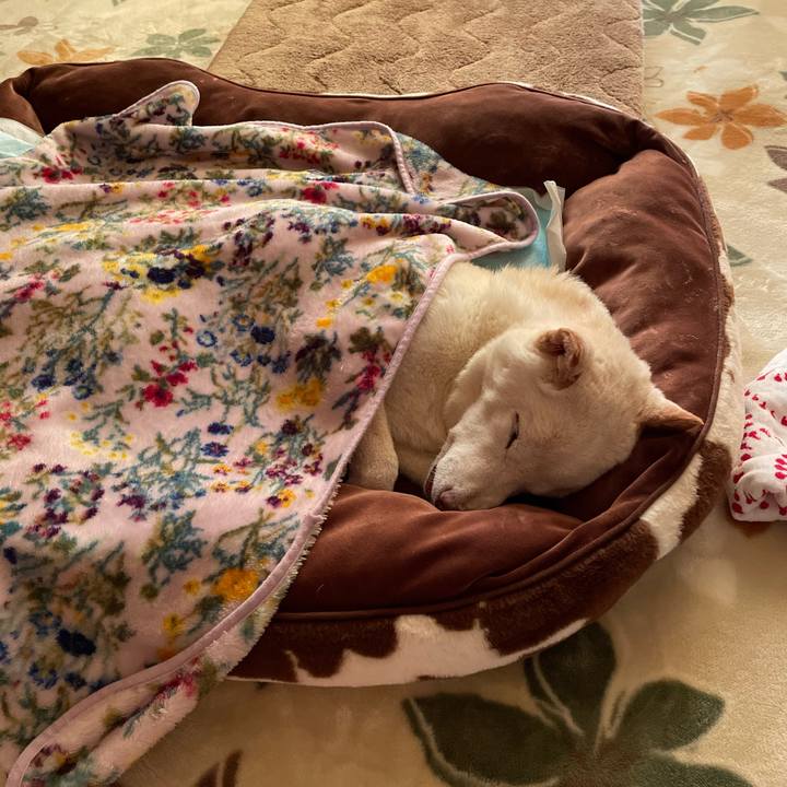 23ed4441 9daf 4cb0 af81 3542eb7c2cb0 1668643919587