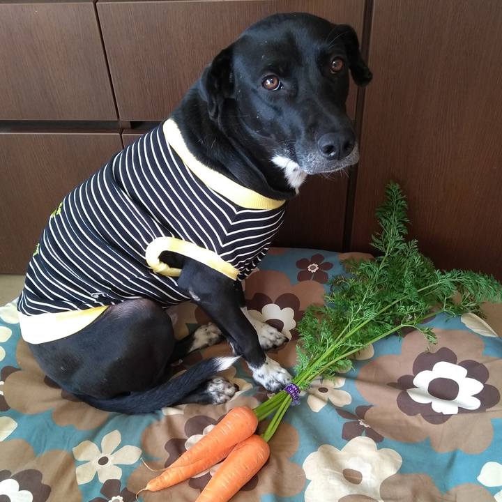 23ed84d9 80d6 4d81 b5e5 15e9eb069876 1608211453562