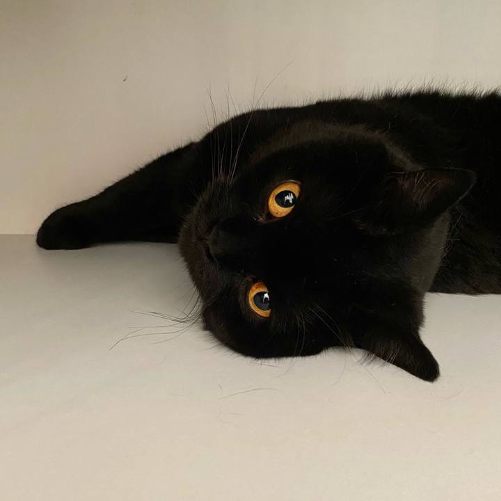 23edd69b f589 496c 813f e5bd5d833485 1656406328912