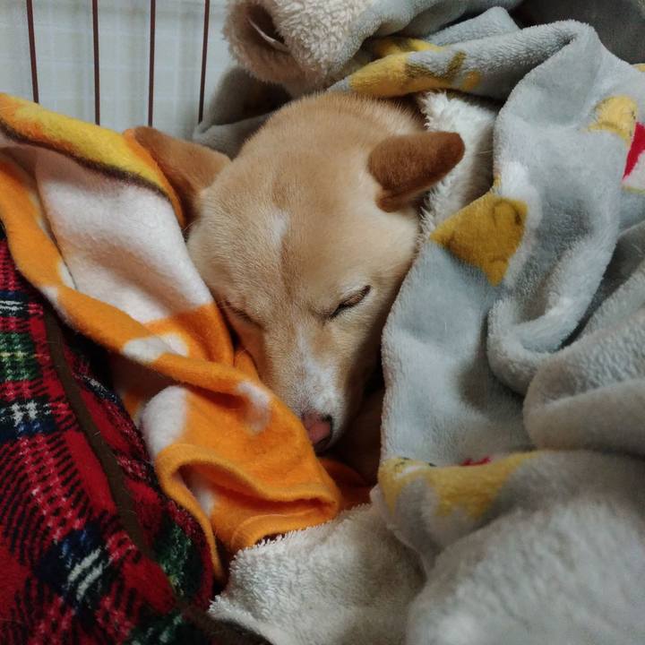 23eddccd b057 4875 92c6 aa9d95a599cb 1517059215344