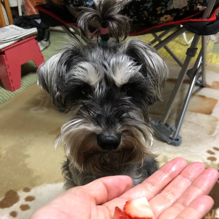 23ee0e02 b57e 42cf 8546 72af00fae4f2 1553267063997