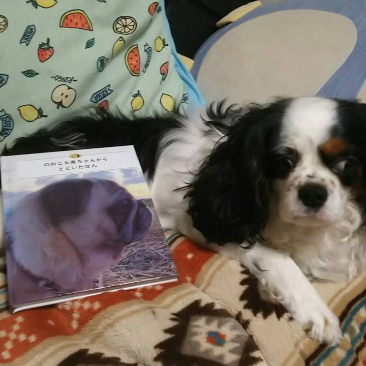 23ee324a fd50 42bf be4e 9b174233789b 1531052472655