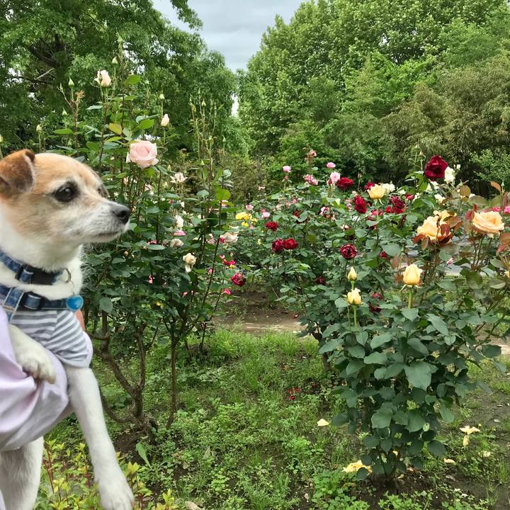 23ee7b47 76f8 4693 9e64 c8afc4e2b436 1652598311145