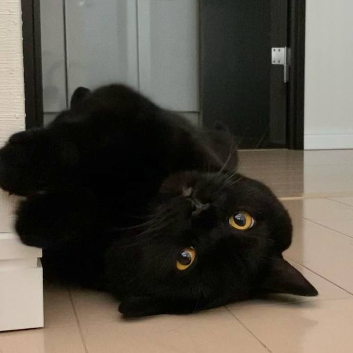 23eeae37 bbf2 4f06 b79f 2016456ab731 1625523429773