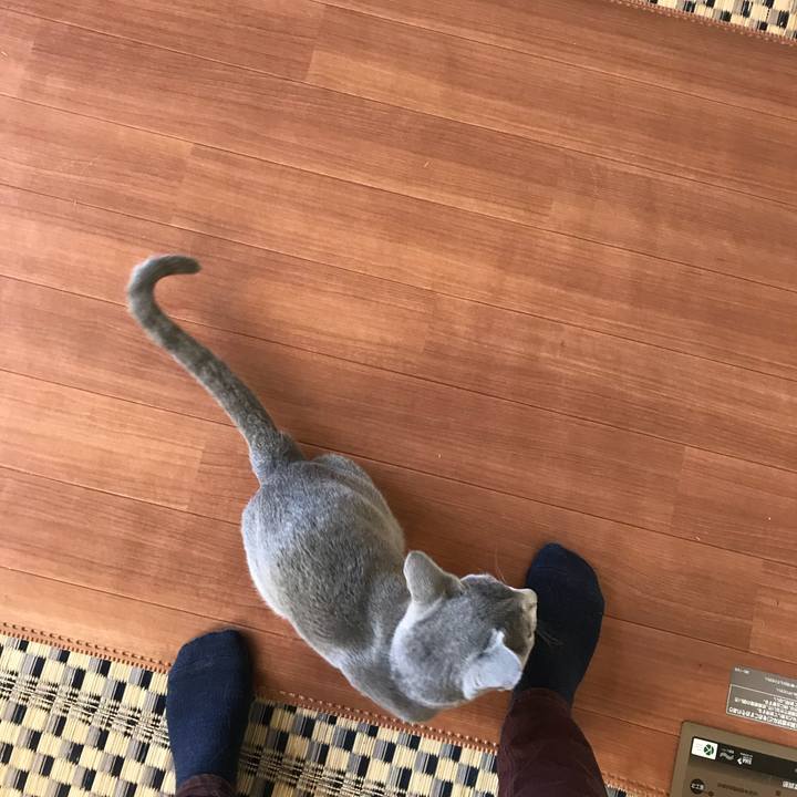 23eece41 e4b7 4070 8317 133a7e7e09cb 1514373461818