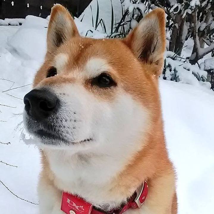 23eeda8e e1f7 4df4 aa6f 5de33b7d3e06 1674604001618