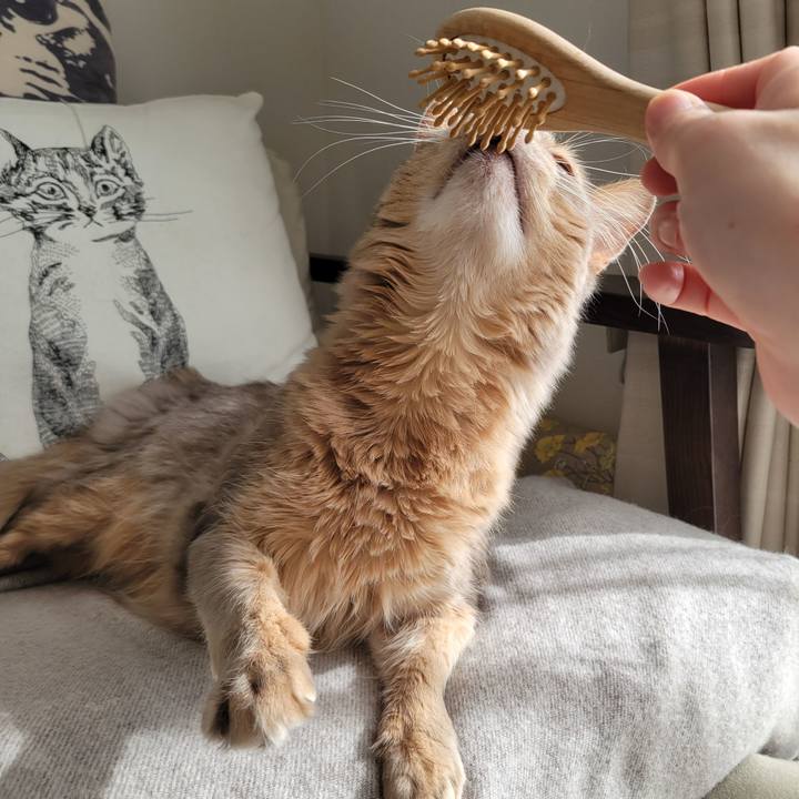 23ef4f2b 6a30 4e23 9d04 14916ffedd08 1675919712972