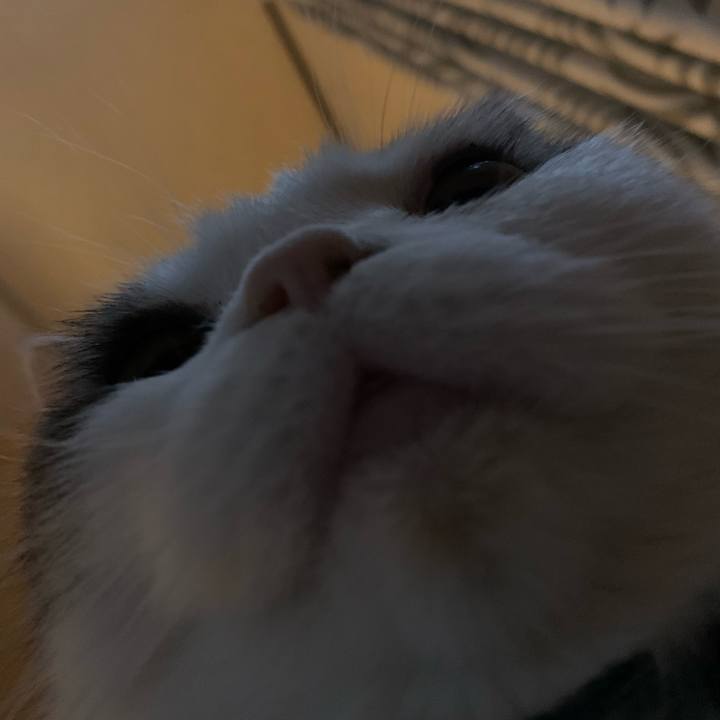 23ef516c dcf3 4855 b2b6 179958d1c8e6 1648941664955