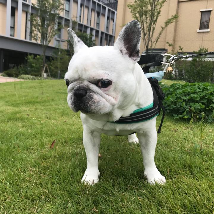 23ef7d35 f584 4570 91cc b7b792e735ff 1569633434459