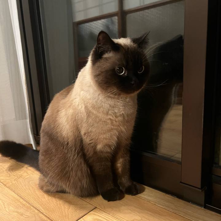 23efb7fd 0fec 4731 a7ff 63d3f99bd6cf 1681474558596