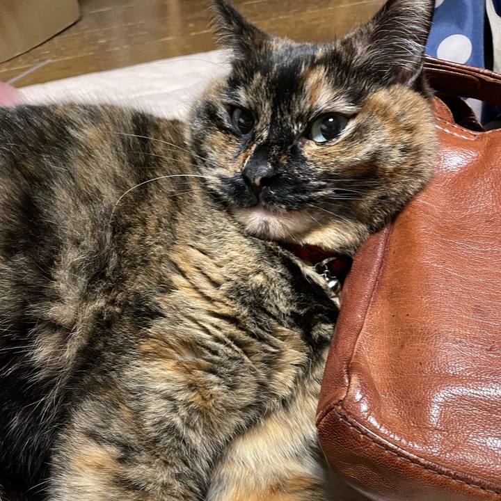 23efedca fe31 4b6b 8d2c 6b22fb4aa2f5 1772366542718