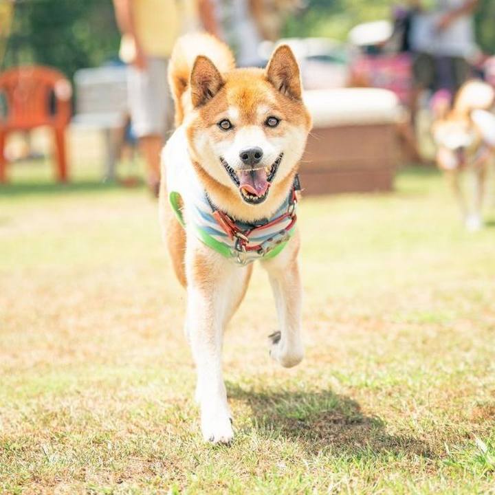 23eff155 4397 4746 b3bf fd42f3c31ca1 1724638025329