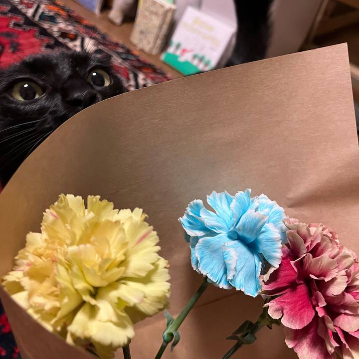 23eff2fc 1671 49c4 a7ea 3e0f8f3089a6 1729307201639