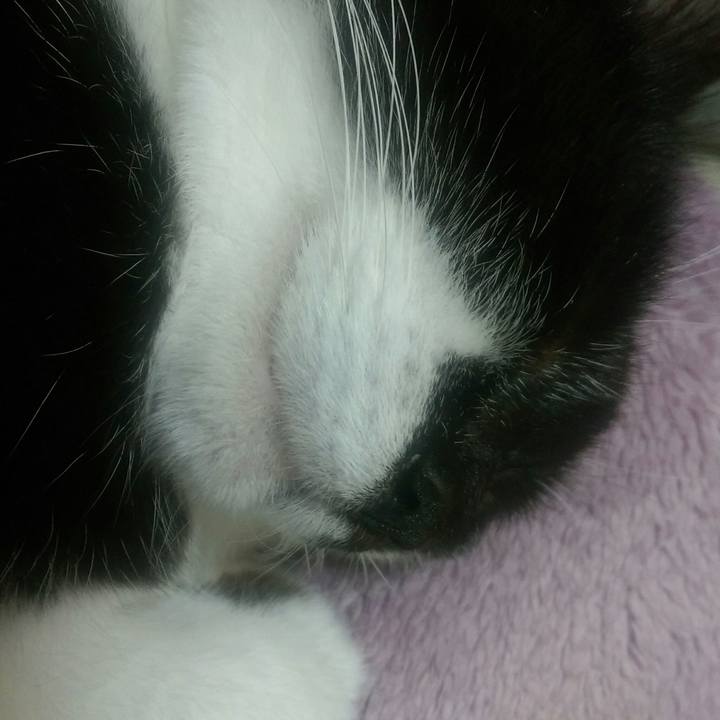 23f006c9 2074 4723 b77e 61507fc18735 1545303840703