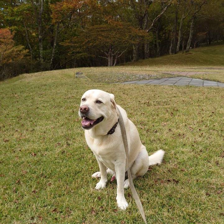 23f012ab 48d6 4648 9e57 b151bab7f0db 1633506597732