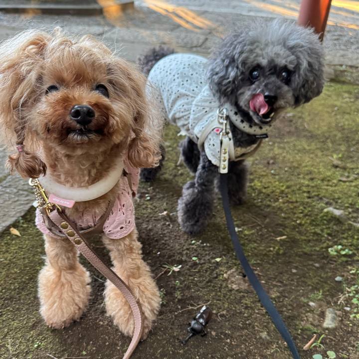 23f07e9a 3355 4ce9 8227 fb6a737314f1 1752877615700