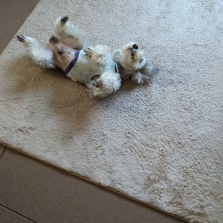 23f07edb 9af3 4dc0 850c af0f052df4cb 1752220599903