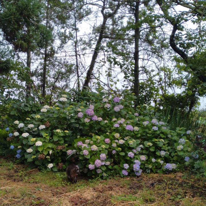 23f09636 5394 4415 9dde 639dd05684e6 1719120970656