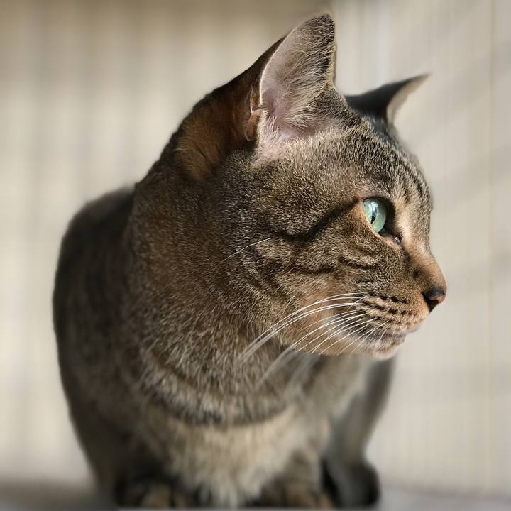 23f0a29d 02f3 45ff b43b dc94e6ceeb44 1518312704956