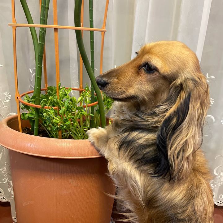 23f0af35 c97e 4ff0 98fb 10b80e80520e 1682333713269