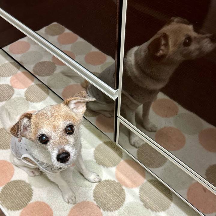 23f0c9bc f7a6 4969 a136 027dc8322a9a 1696415768574