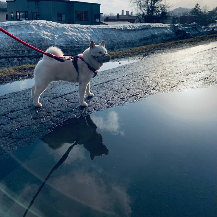 23f0eec4 74d9 4918 8167 48c88411c540 1679868852110