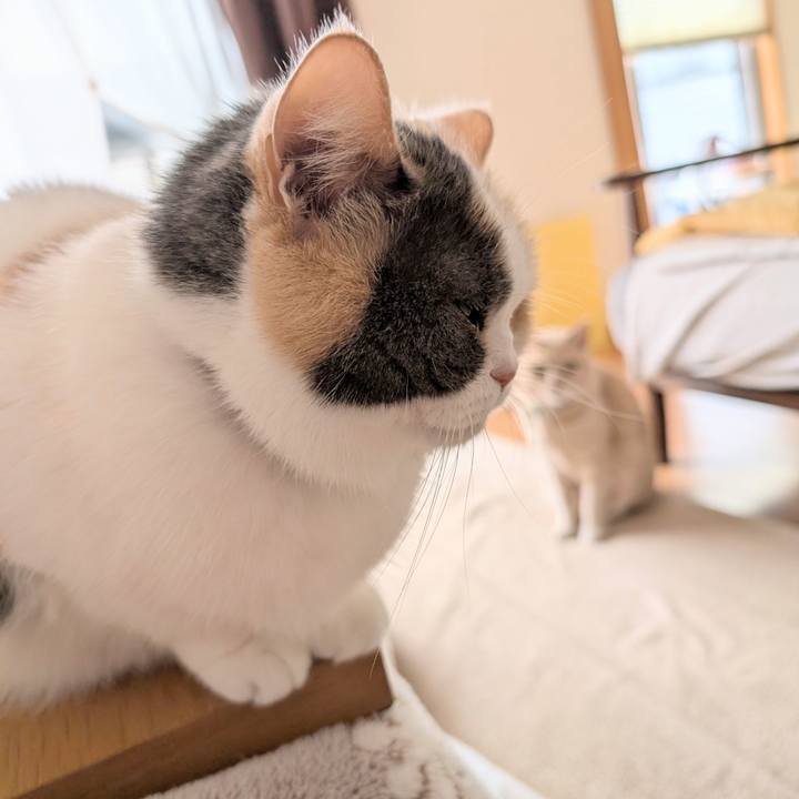 23f0f442 e2e1 46c5 bf72 df454064d596 1766206328648