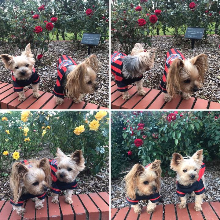 23f0f862 e48e 40f9 beb9 b81ac47adae6 1602671273441