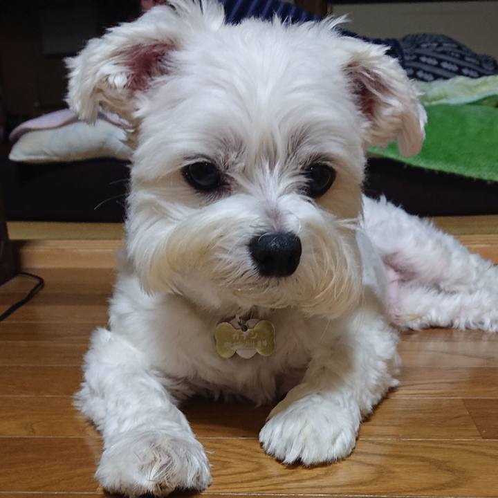 23f11eab eb3e 4fbe ab69 32e448570f8b 1570452030877