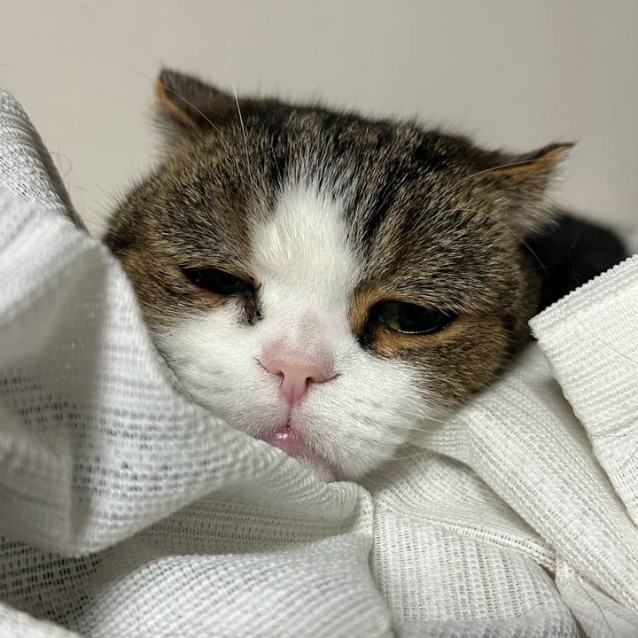 23f12317 e166 4e3a b34a 9237e778615d 1764798961297