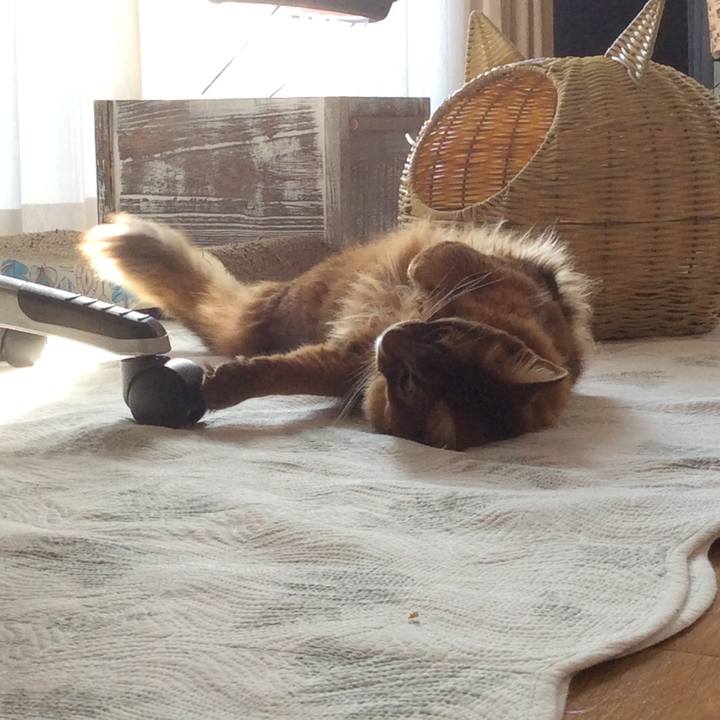 23f14ab7 4c0a 4c74 aba8 583d16007519 1616669248752