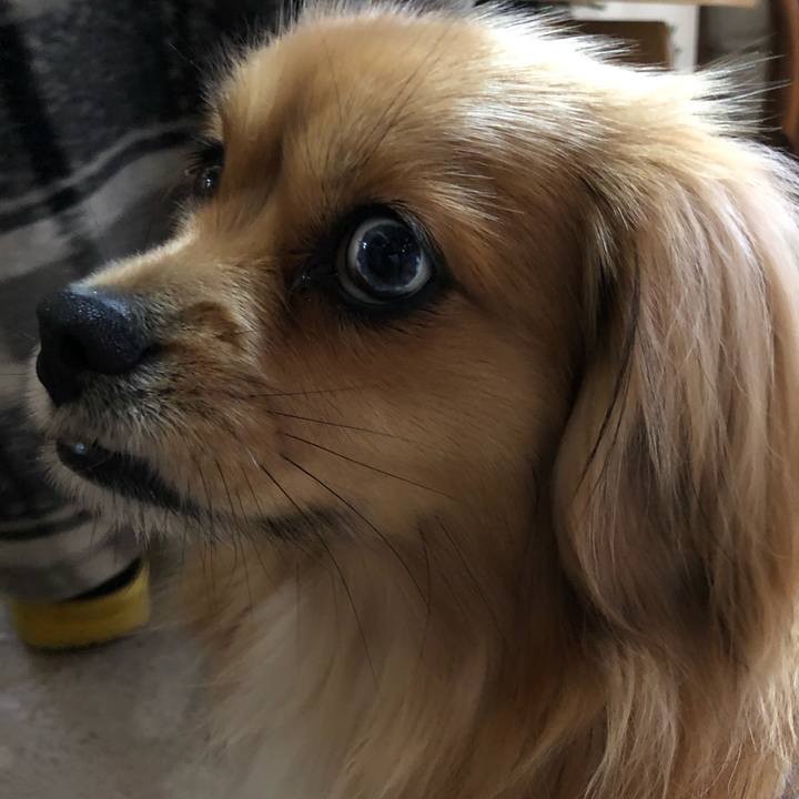 23f15b93 44a3 440d 99af 1b9af3b5ac15 1552344295254